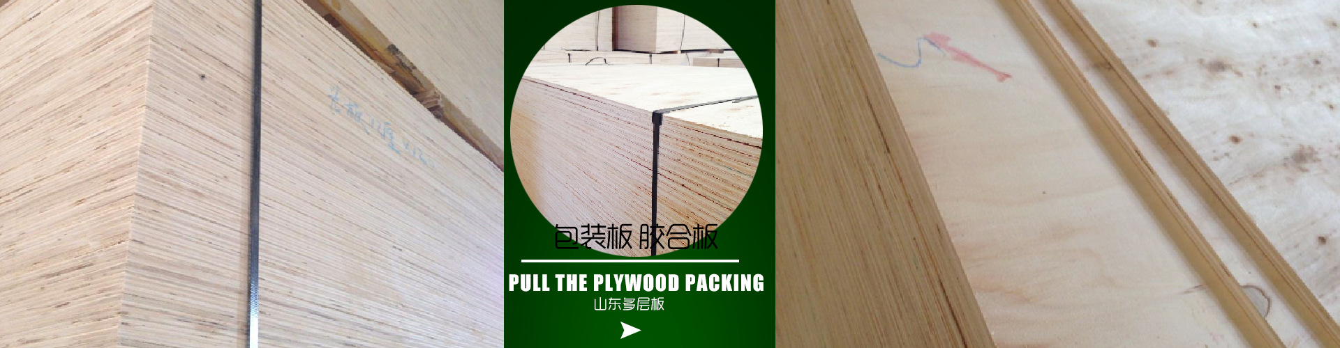 PVDF聚偏氟乙烯